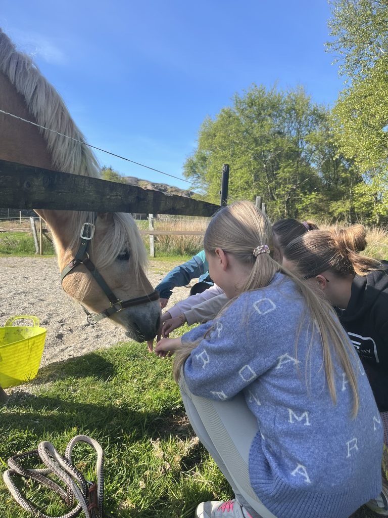 Walk and talk with animals