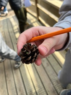 Learners in the outdoors, brainstorming their personal stories together in pairs. One learner is holding a small rock in their hand. A teacher is talking with one of the learners. A learner holds up a pen together with a cone they found while brainstorming. Photo: Marte Maurabakken/Climate Creativity.