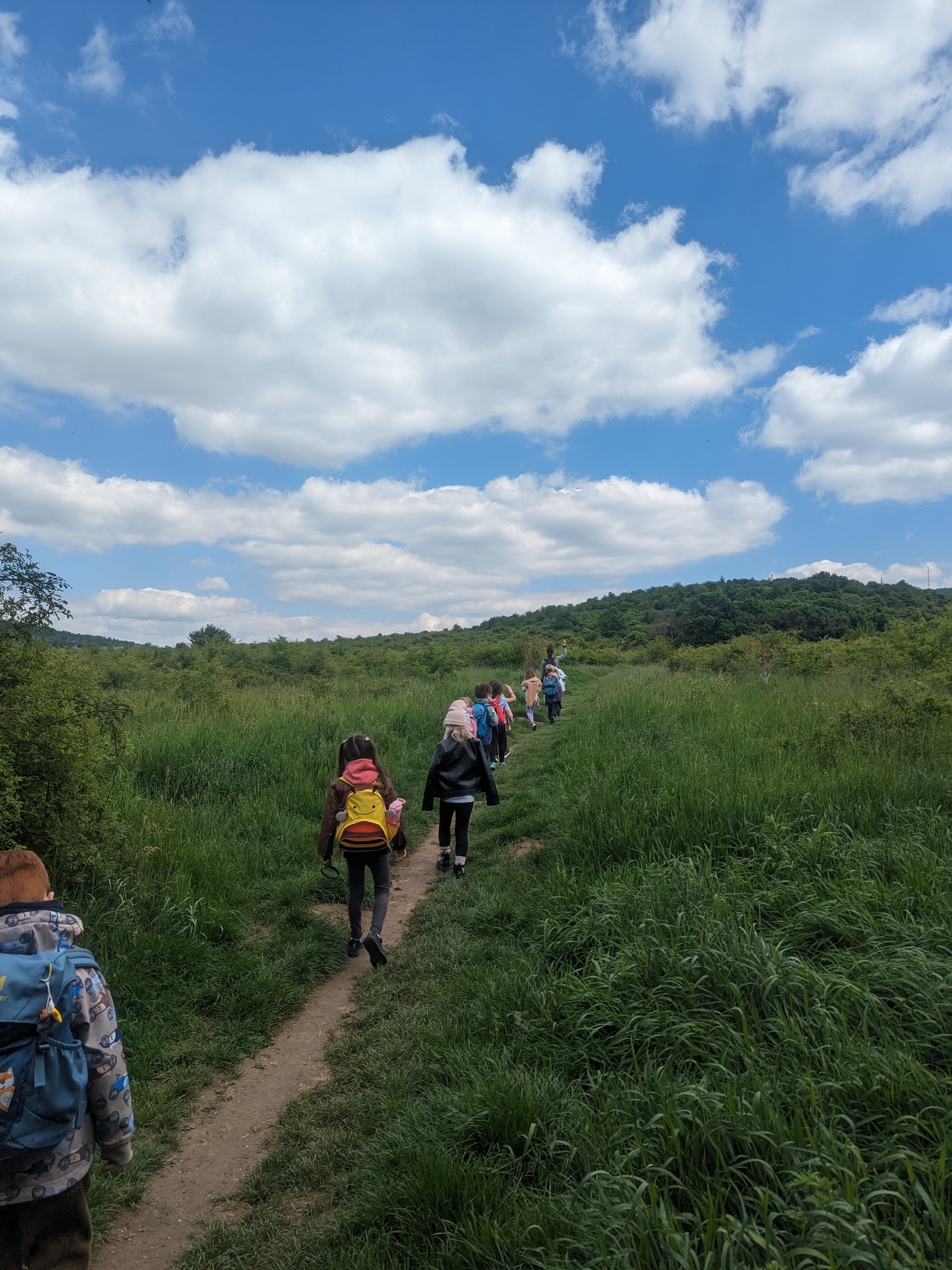 While exploring the Jane Goodall Trail in Budapest, we conducted the “Slow Walk in nature” activity. Photo by Carmelo Zamora, REAL School Budapest
