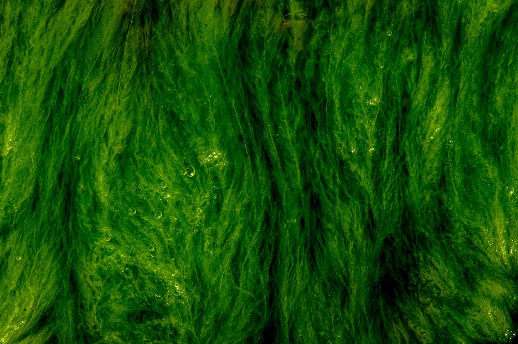 Deep listening to oneself