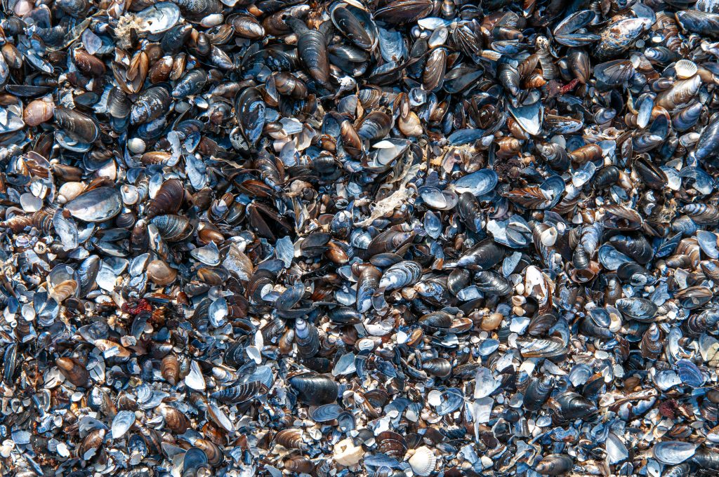 Drafting a guide book or manifesto