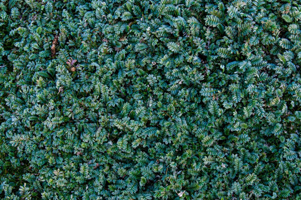 Helpful scripts to support learners