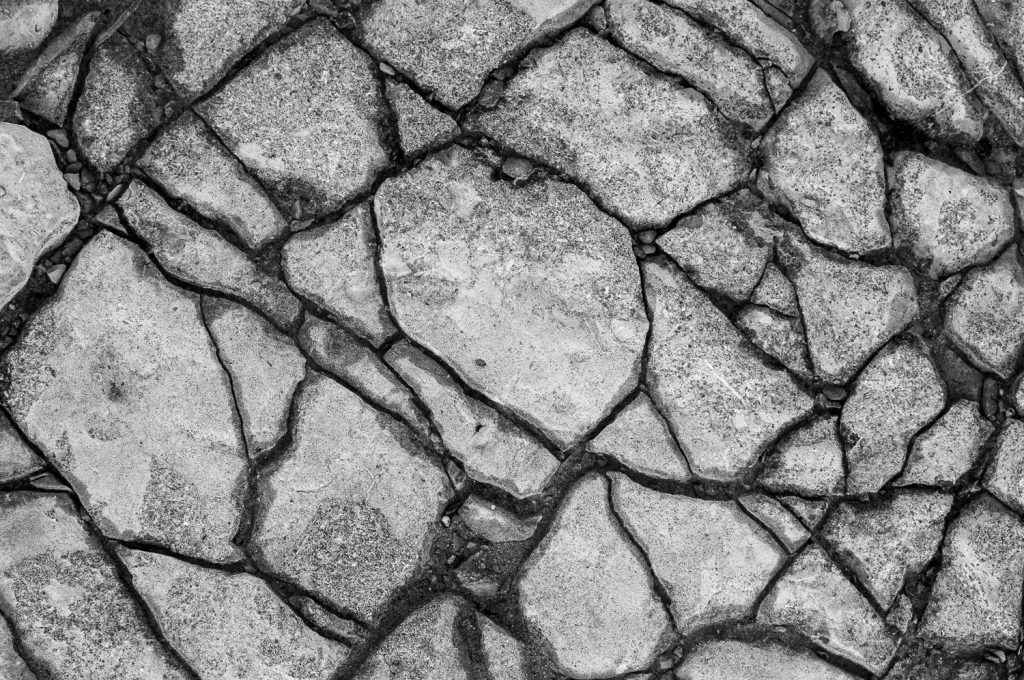 Listening to the Land: Exploring your own roots