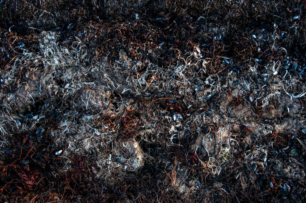 Communicating with empathy