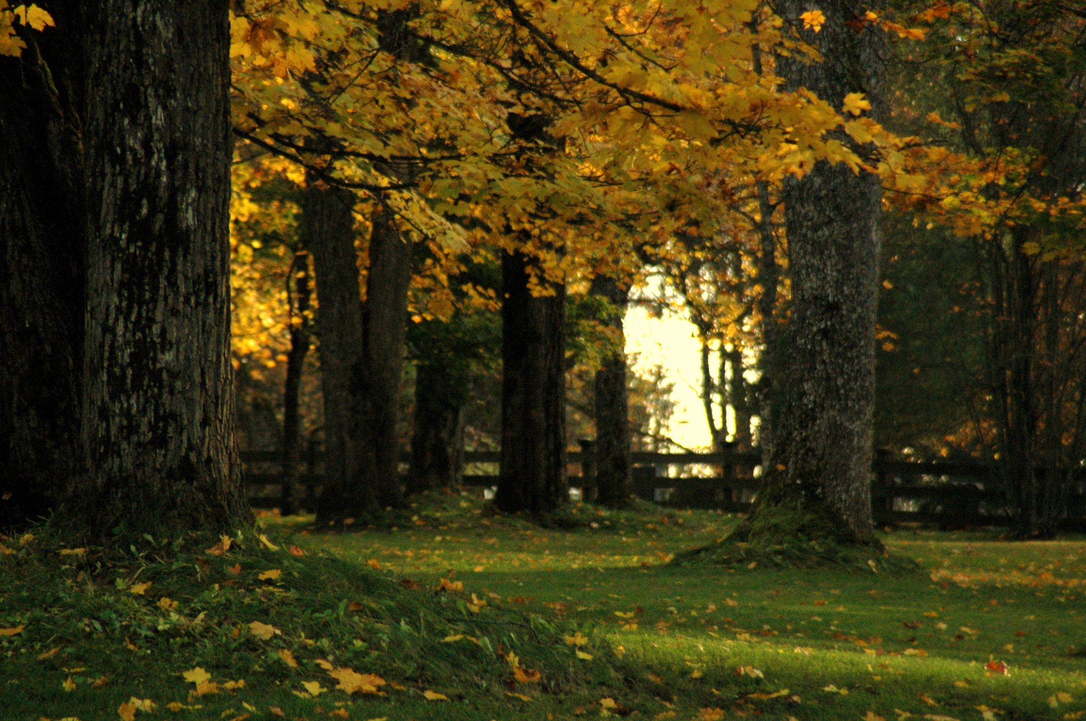 Listening to stories from older generations