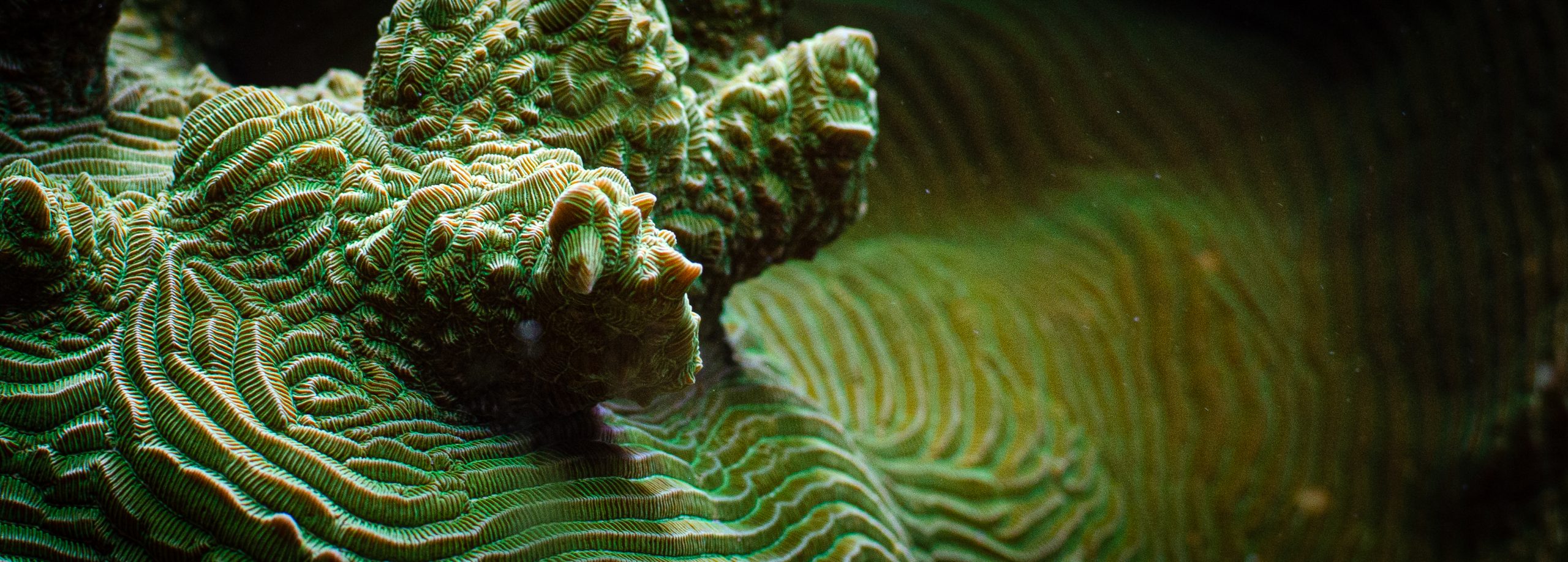 A photograph of the future