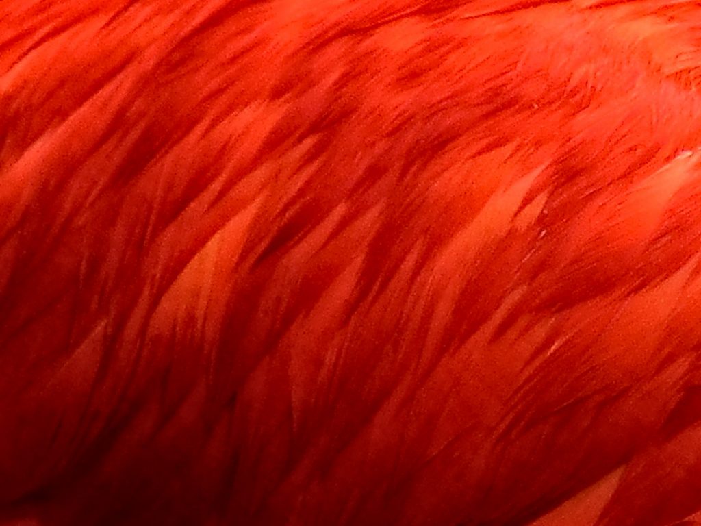 Creating an intergenerational garment