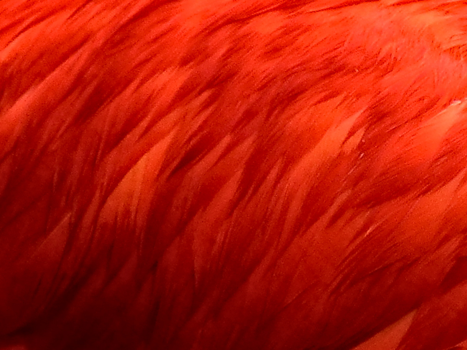 Creating an intergenerational garment