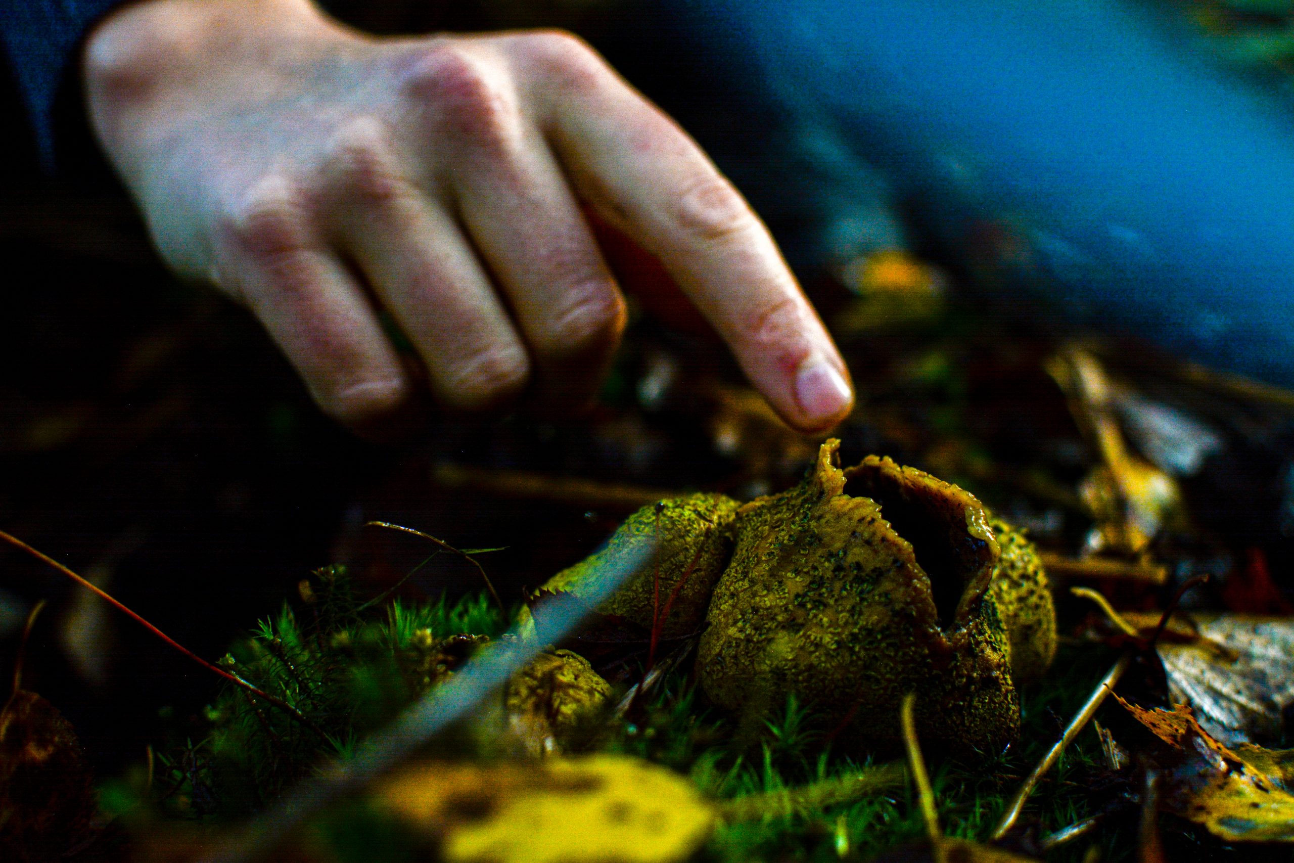 Supporting local climate resilience action